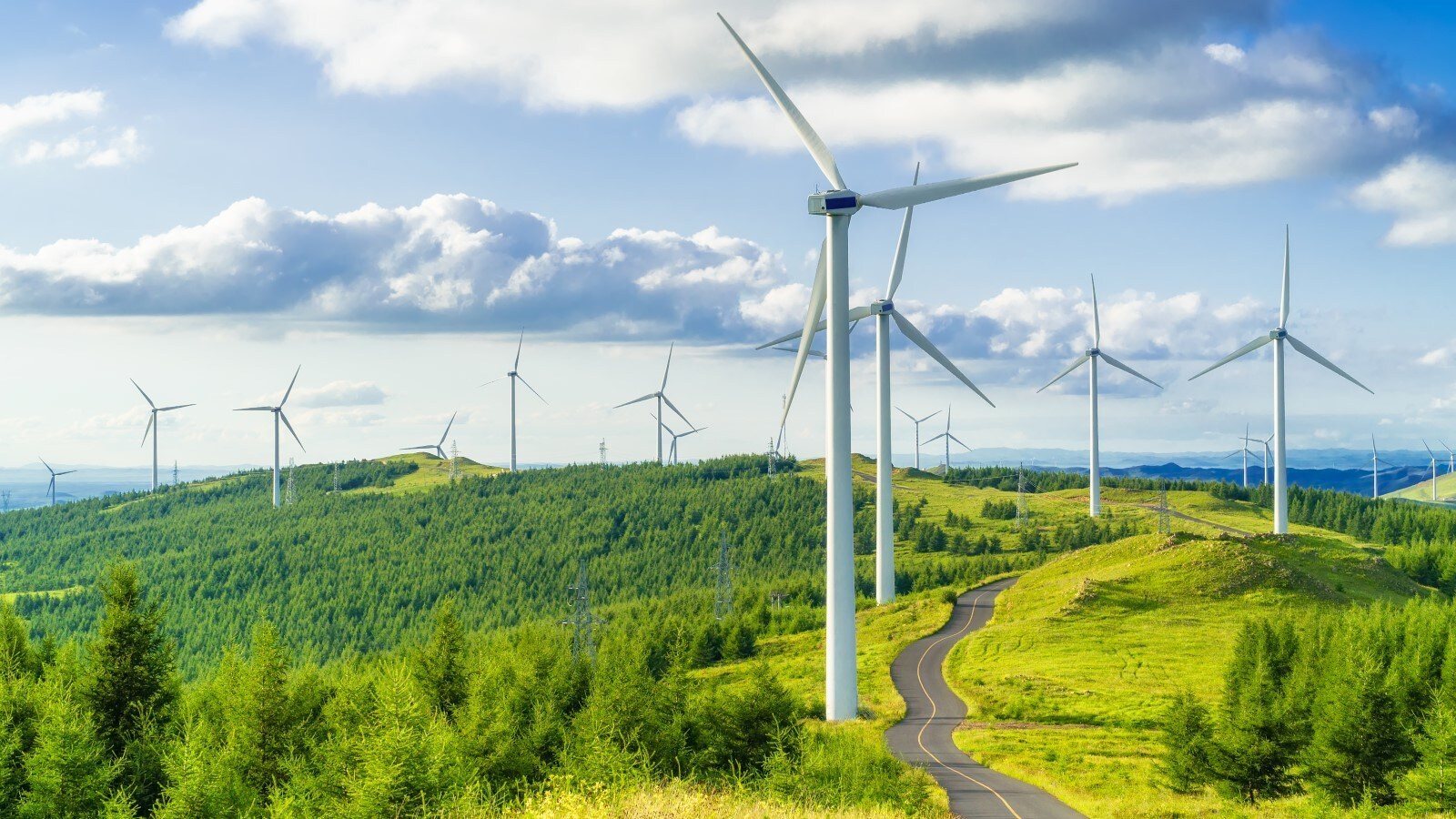 Wind Energy Division